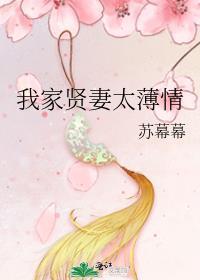我家贤妻太薄情作者苏幕幕