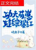 功夫宝宝