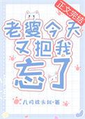 老婆今天又把我忘了免费番外