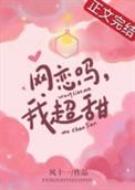 网恋吗?我超大! 作者夏愁