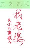 九十年代好丈夫在线阅读
