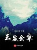 玉宸金章精校