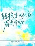 转校生好像有点奇怪256中文
