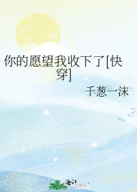 你的愿望歌曲