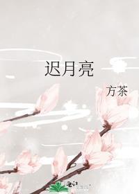迟小姐的专属月亮