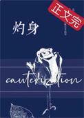 灼身讲的什么