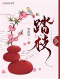 踏枝人物介绍