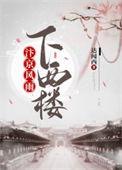 汴京风雨下西楼 达闻西
