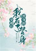 穿越后我成了自己的替身