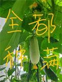 如果把修真中的修真换成学