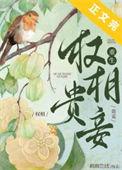 权相养妻日常全文免费阅读无弹窗