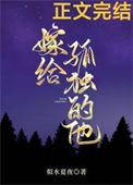 嫁给孤傲王爷