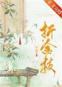 折金枝记永宁百度