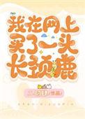 一头长颈鹿价格