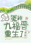 清穿九福晋全文免费阅读