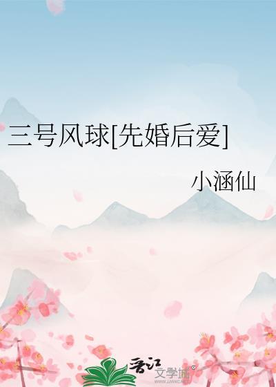 三号风球什么意思