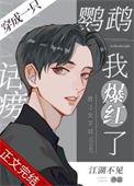 穿成一只话痨鹦鹉我爆红了江湖不见