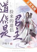 捡来的道侣是男主晋江文学城