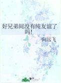 好兄弟之间没有纯友谊了吗百度
