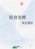贴身宠婢免费阅读全文