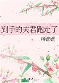 到手的夫君跑走了免费阅读