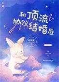 和顶流协议结婚后 晋江