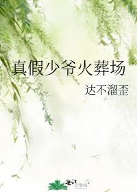 真假少爷火葬场已完结