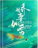 重生八零娇妻甜又娆