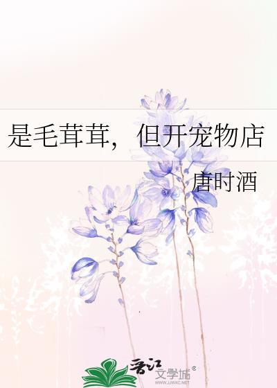 宠物店开毛结