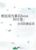 被迫成为幕后boss的日常笔趣阁