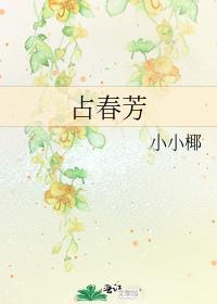 占春芳词牌格律检测
