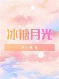 冰糖月光txt
