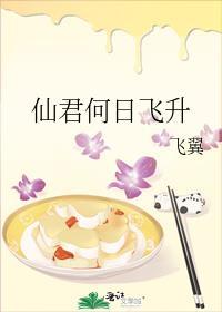仙君何日飞升 飞翼txt