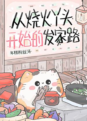 从烧火丫头开始的发家路晋江