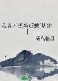 我真不想当反贼[基建