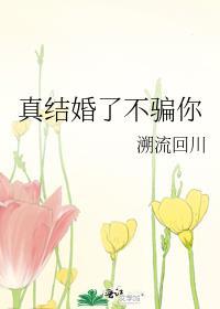 真结婚了不骗你全文