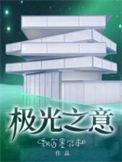 极光之恋的意思