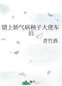 错上娇气病秧子大佬车后是年下吗