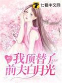 重生后我顶替了前夫白月光讲的什么