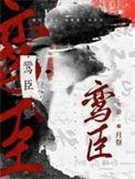 鸾臣月祭nico阅读