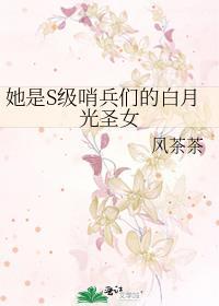 她是s级哨兵们的白月光圣女TXT