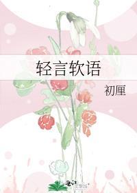 轻言软件