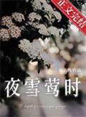 一分钟了解夜雪