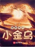 偷偷养只小金乌 精校版 txt
