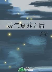 灵气复苏之后 叹风不语