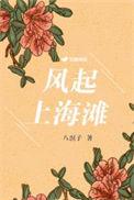 风起上海滩50集免费观看电视剧