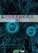 霸主的意思是什么