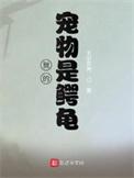 我的宠物是小乌龟