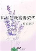 科举使我富贵荣华 作者茶茶花开