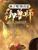 有御兽师的游戏
